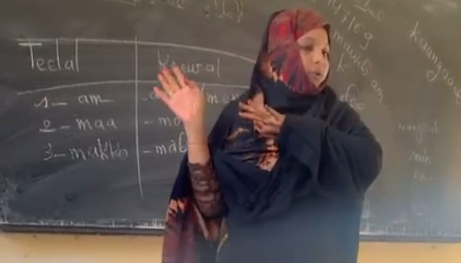 Debbo Capaato Janginoowo pulaar